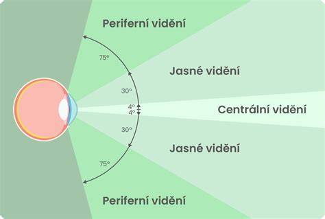 Infografika: Porovnanie ľudského a psieho videnia (počet čapíkov, tapetum lucidum, zorné pole)