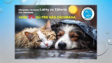 Infografika: Porovnanie povahy labradora, vlkodava a kríženca