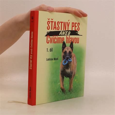 Šťastný kastrovaný pes