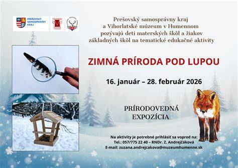 Infografika: Porovnanie typov interaktívnych hračiek (robotické, mäkké zvieratá, edukačné tablety)