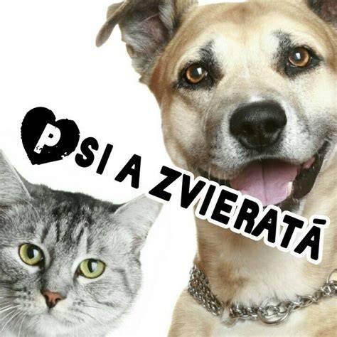 Obrázok: Fred Tiny Love a ďalšie interaktívne psy a zvieratá