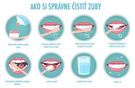 Technika čistenia zubov psa a ukážka správnej dentálnej starostlivosti