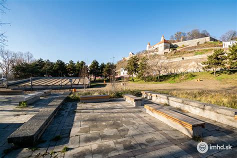Historický pohľad na úlohu jazvečíkov v tradičnom poľovnístve
