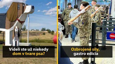Ilustrácia detaily šitia vankúša v tvare psa