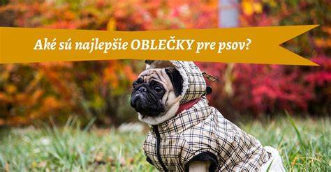 Obrázok so zobrazením výberu zimných oblečkov pre psy