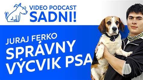 Infografika: Správny postup kúpeľa psa