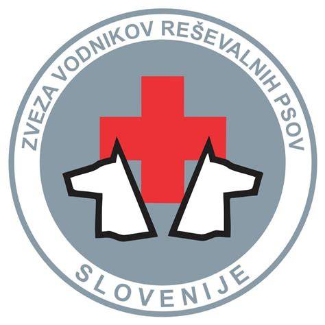 Ilustrácia bezpečnostných opatrení pri venčení psov v mestách