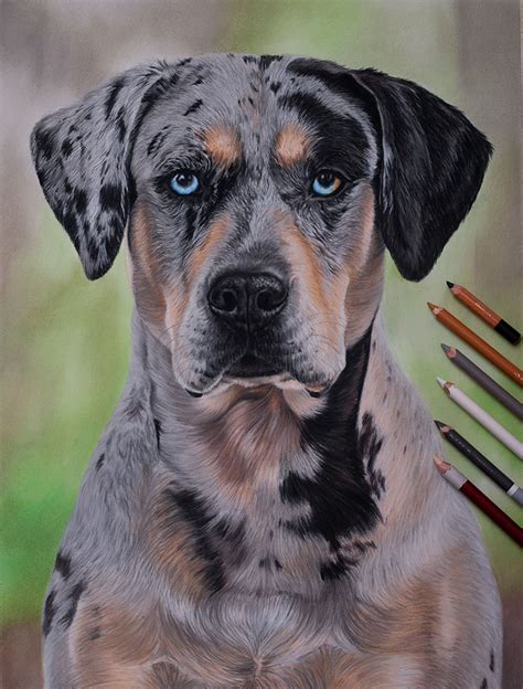 Realistická kresba psa