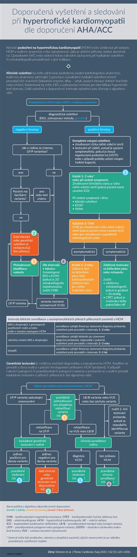 Infografika: Diagnostika očných vád a preventívnych vyšetrení u psov