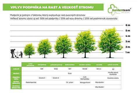 Schéma stravovania veľkých plemien počas rastu a dospelosti