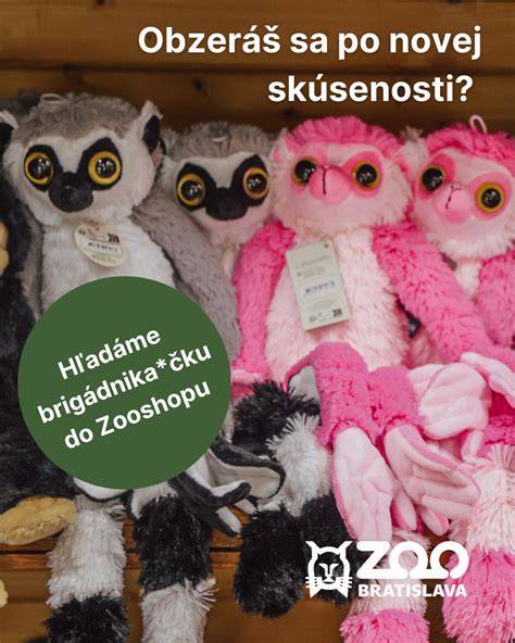 Mapa dostupnosti: Kde nájsť kolekciu plyšových psov