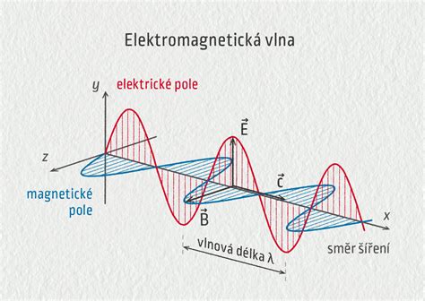 Obrázok znázorňujúci Reactor Puppy 12