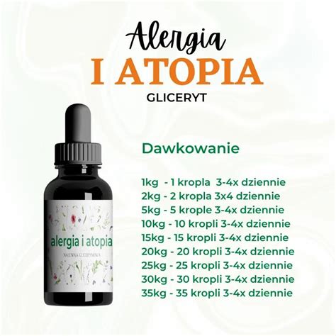 Diagram štruktúry alergií u psa: potravinová, environmentálna (atopia) a blšie alergické reakcie