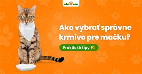 Infografika: Ako vybrať správne škrabadlo a pelech pre mačku