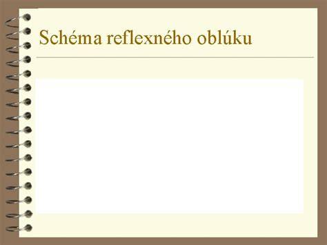 Schéma reflexného oblúka a načasovania odměny