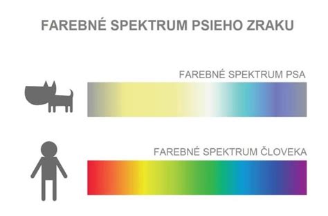 Ilustrácia psa ako spoločníka človeka