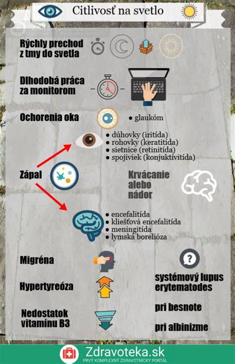 Infografika: Hlavné príčiny koprofágie a kroky prevencie