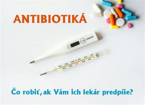 Schéma: Ako antibiotiká ovplyvňujú črevnú mikroflóru