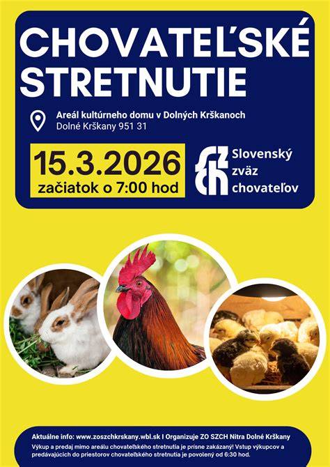 Chovateľské a výstavné informácie o yorkšírskom teriérovi