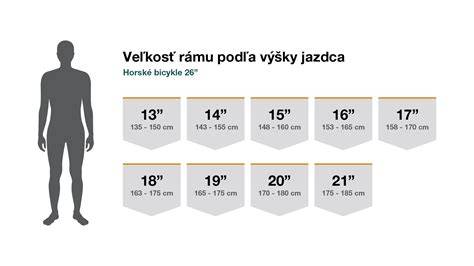 Obrázok: veľkosti pelechov XS-XL a ako vyberať podľa plemena