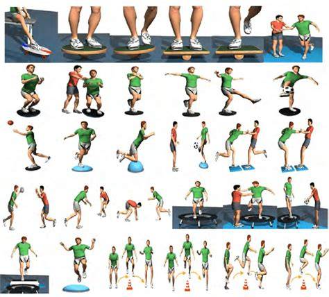 Depiction of canine proprioception exercises on different surfaces