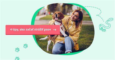 Infografika: tipy bezpečného styku s psami