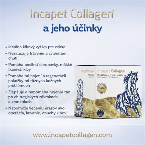 Inkapet Collagen a jeho výhody pre psov - infografika o mechanizmoch účinku a výhodách