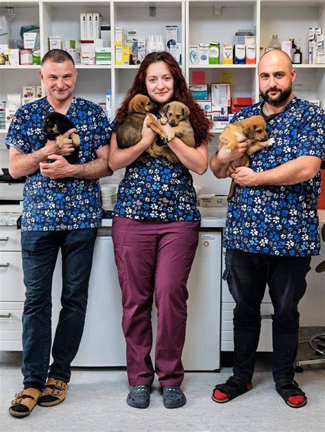 veterinarna-kontrola-a-vyziva