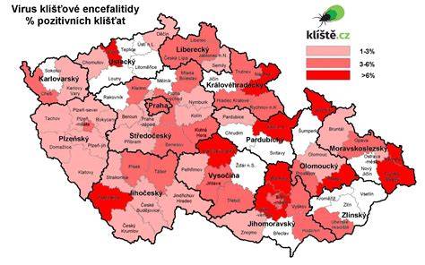 Mapa rozloženia tieňov na psovi pri prirodzenom nasvietení