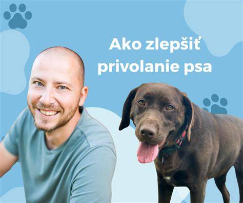 Ilustrácia psa pri privolaní