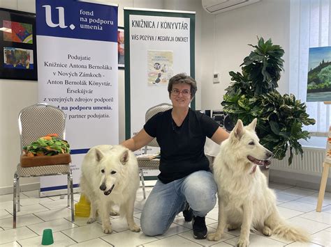 Ilustrácia pohybu Pyrenejského ovčiaka v kluse