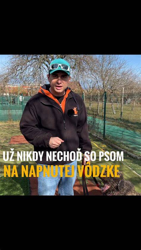 Infografika: Ako lokálne šíriť oznam a čo urobiť po strate psa