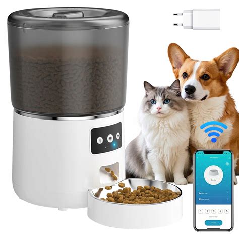 Ilustračná fotografia spokojného psa s miskou krmiva