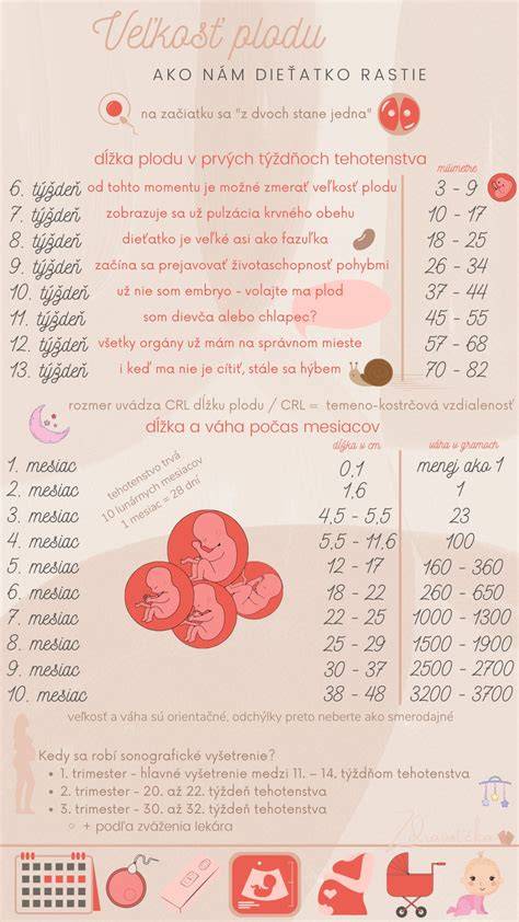 Infografika: Dĺžka života brachycefalických plemien