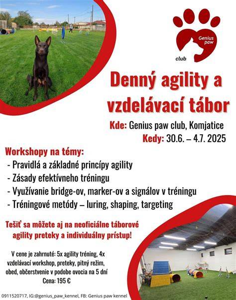 Infografika: Princípy efektívneho tréningu odmeňovania a chovania psa