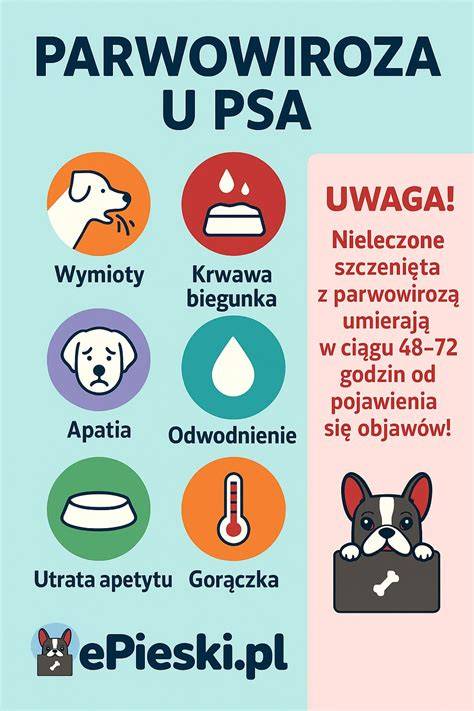 infografika_psi_postavy.png