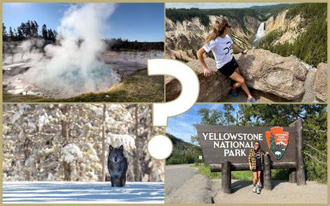 Infografika zobrazujúca pravidlá odstupu od divokej zvery v národnom parku Yellowstone