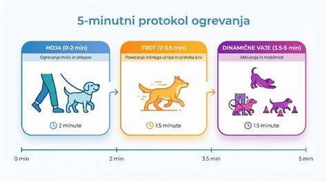 Infografika: Signály psa varujúce pred agresiou