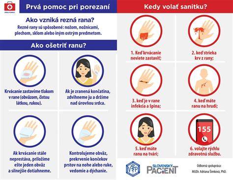Infografika: prvá pomoc pri úrazoch psa na splave