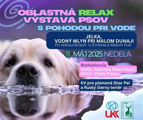 Infografika: Vývoj plemien psov a ich úloha v histórii umenia