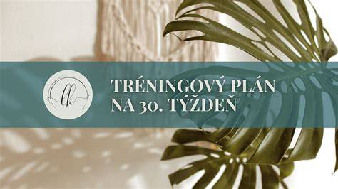 Infografika: Vzorový tréningový plán pre Amstafa - denná rutina, socializácia a kybernetické zručnosti