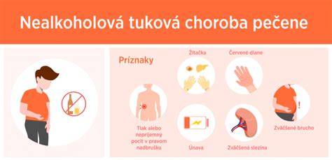 Infografika o fungovaní pečene a jej úlohách v organizme