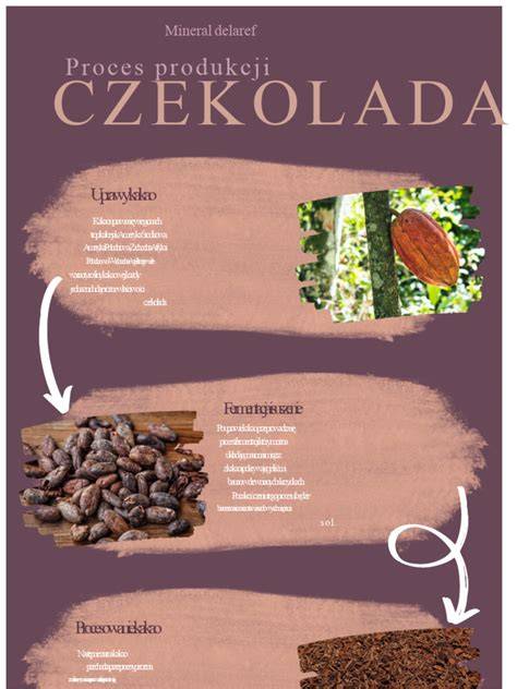 Infografika: Proces adopcie a cesty psa do nového domova