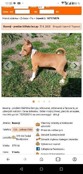 graf porovnanie výsledkov DNA testov basenji svet ČR Nemecko