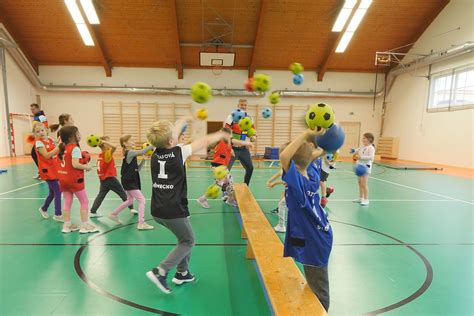 Pes pri hre s loptami v športe treibball