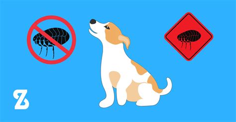 Ilustrácia psa s ochranou proti parazitom