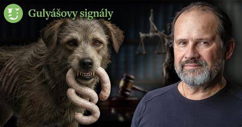 graphic: hluchý pes a vizuálne signály