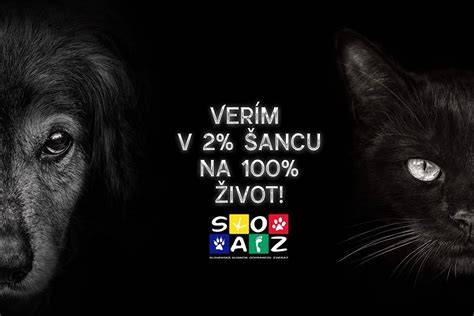 Infografika: Postavy zvierat vo filmoch a ich vplyv na hodnotenie na CSFD