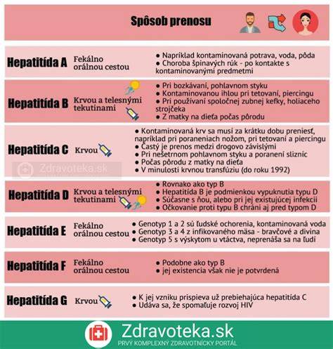 Infografika: Spôsob prenosu a cyklus hlíst