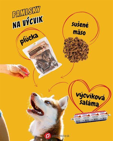 Info: Ako vybrať správnu maškrtu pre výcvik